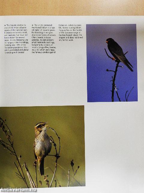 Hungary's National Parks