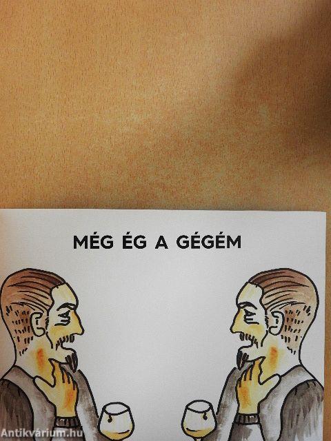 Egy péktucat palindrom