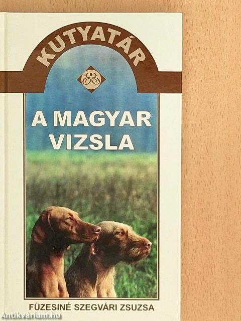 A magyar vizsla