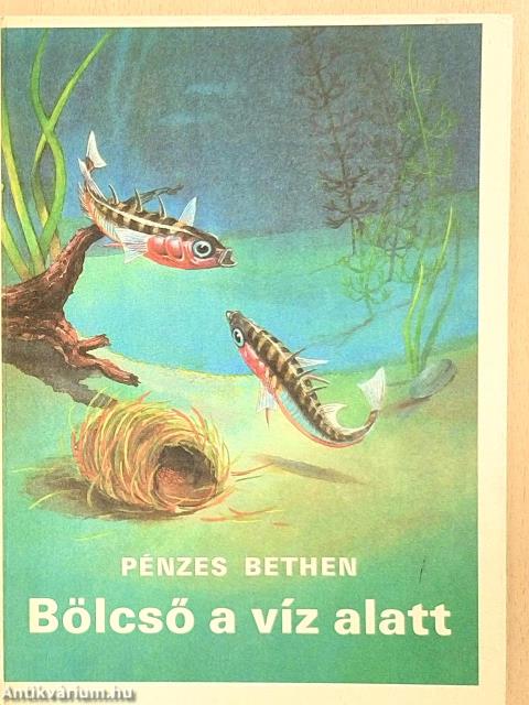 Bölcső a víz alatt
