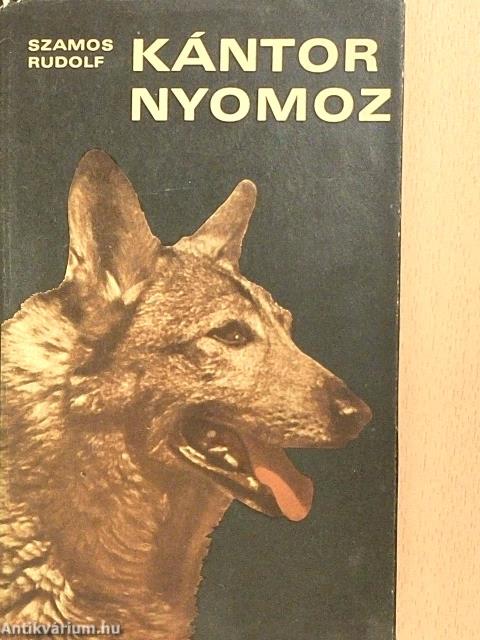 Kántor nyomoz