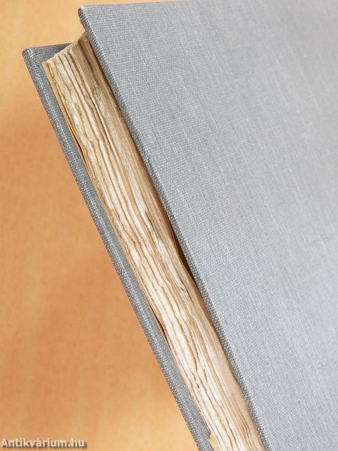 Die Physik im Kriege