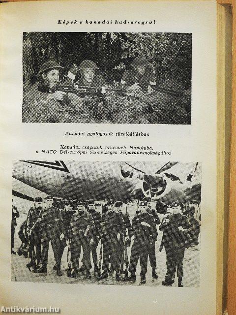 A NATO-államok hadereje