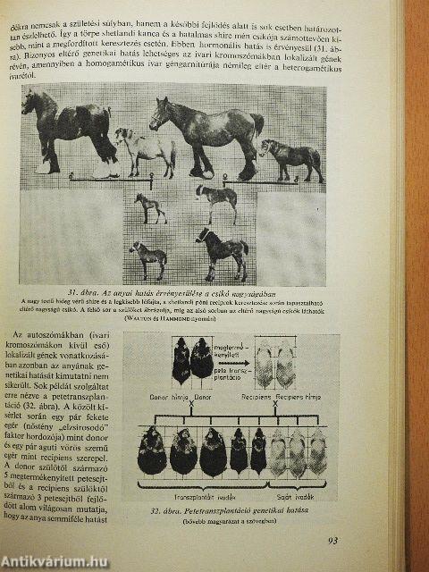 Állattenyésztés 1-3.
