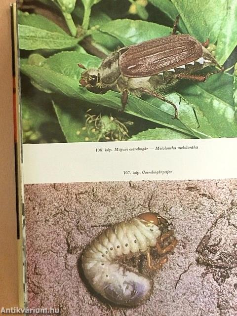 Állathatározó I-II.