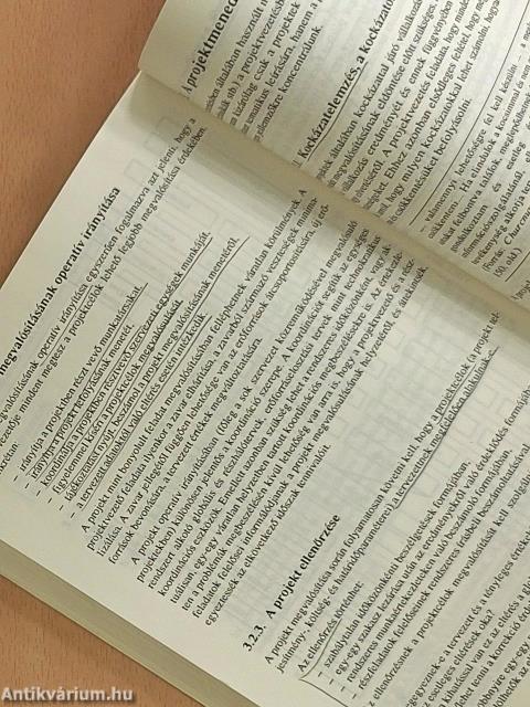 Vezetés-szervezés II.