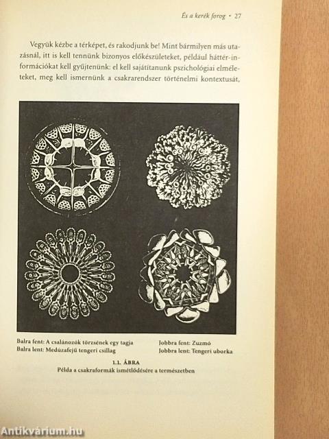 A csakrák bölcsessége