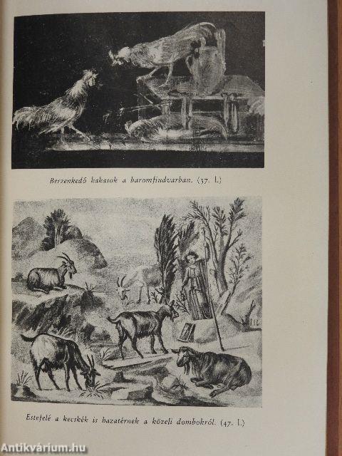 Római könyv II.