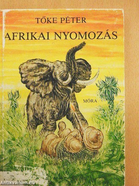 Afrikai nyomozás