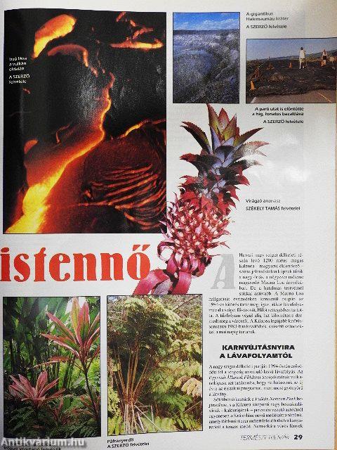 Természetbúvár 1995/5.