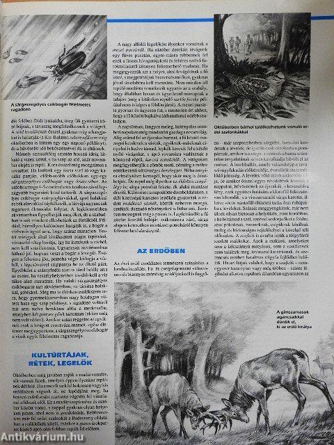 Természetbúvár 1995/5.