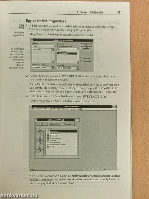 Access 2 For Windows - Floppyval