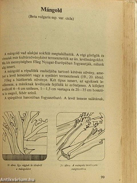 Különleges zöldségételek