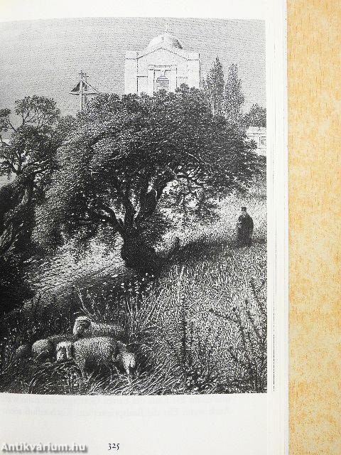 Israel mit der Bibel entdecken