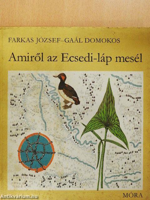Amiről az Ecsedi-láp mesél