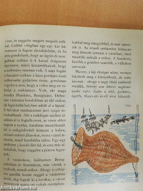 Amiről az Ecsedi-láp mesél