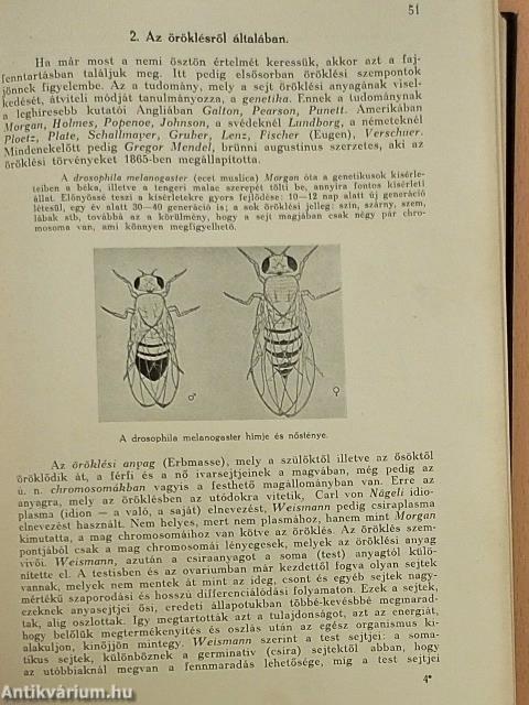 Közegészségtan I.