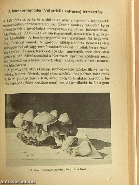 A csiperke és más gombák háztáji termesztése
