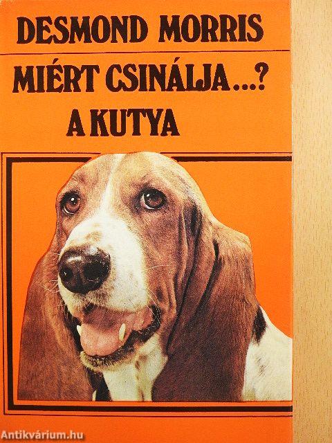 Miért csinálja...? A kutya
