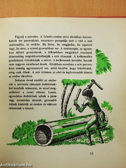 Ismerkedjünk a ritmussal