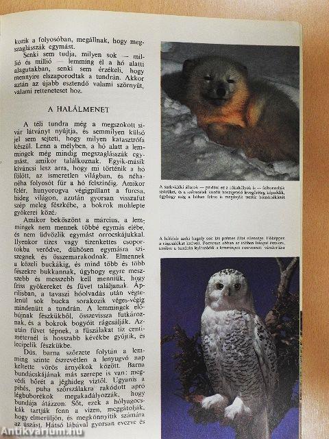 A természet világa