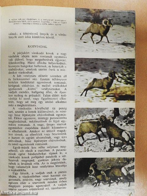 A természet világa