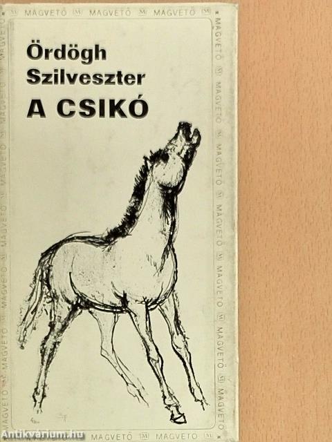 A csikó