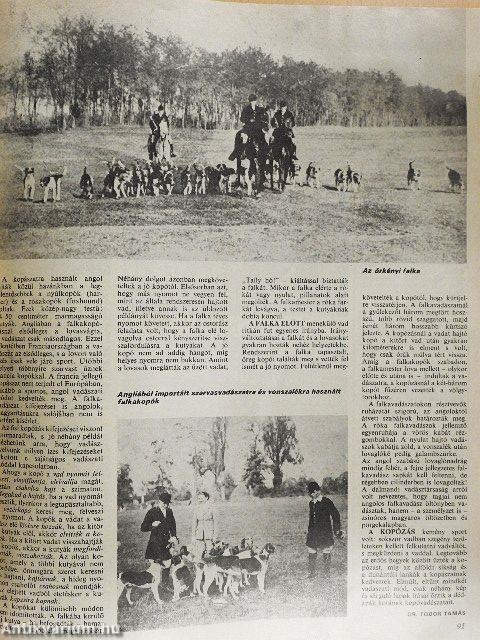 Nimród 1980. január-december