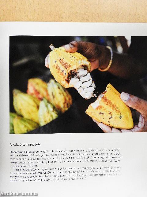 Nagy csokoládé könyv