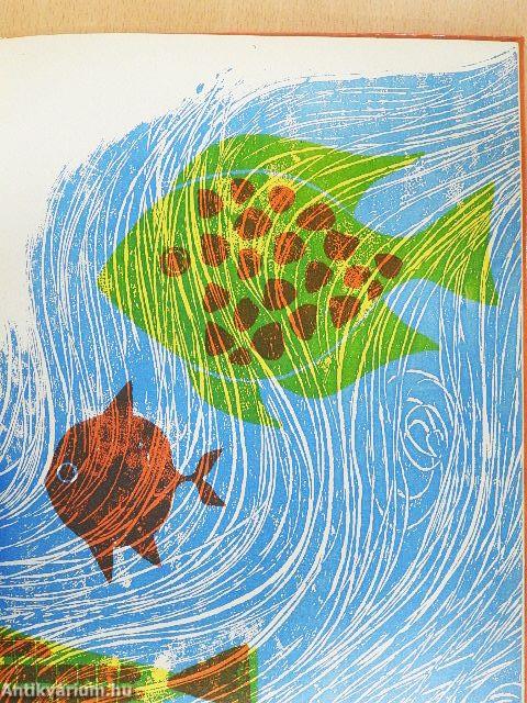 Látod amit én látok?