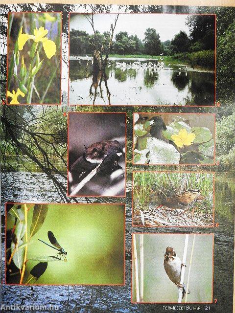 Természetbúvár 1994/1-6.