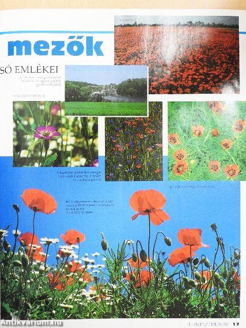 Természetbúvár 1997/4.