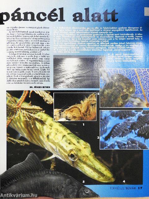 Természetbúvár 1998/1.