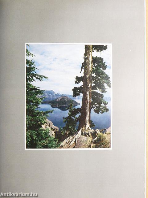 The Pacific Northwest