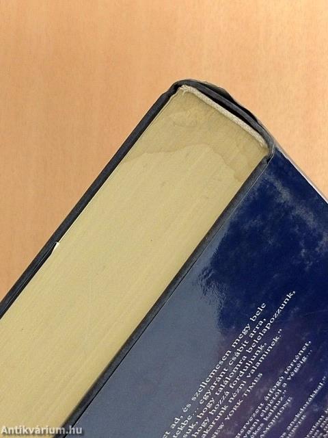 A nagy zeneszerzők élete