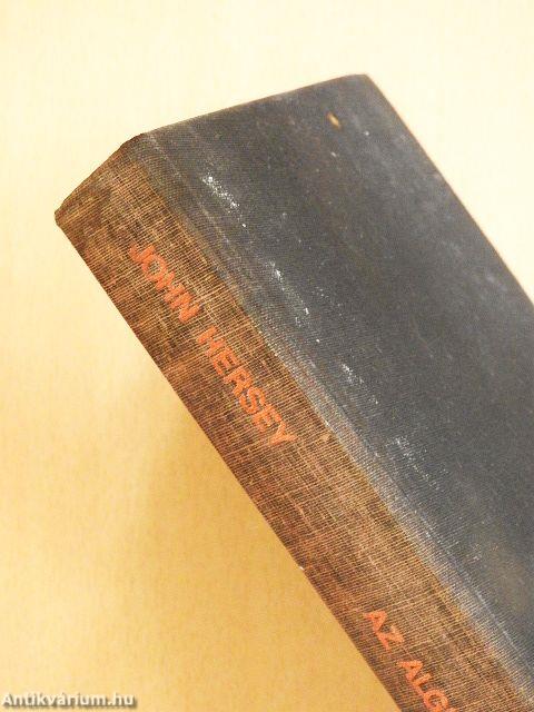 Incidens az Algiers Motelban