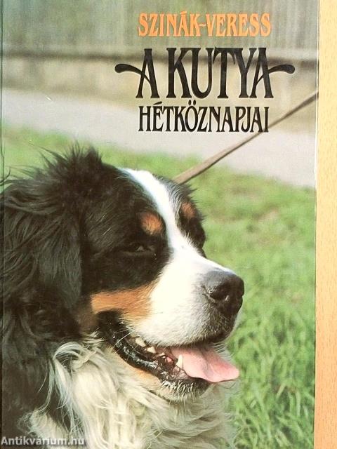 A kutya hétköznapjai