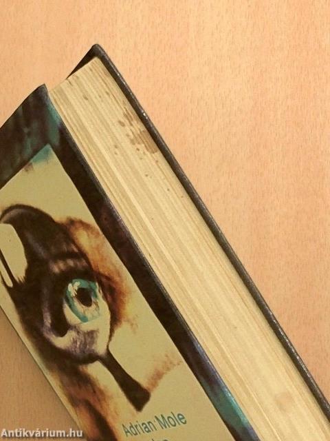 Adrian Mole minden kínszenvedései