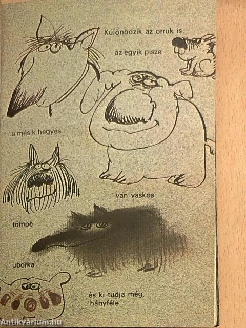 Hát (m)ilyenek a kutyák?