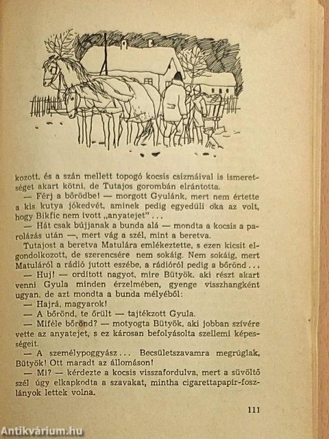 Téli berek