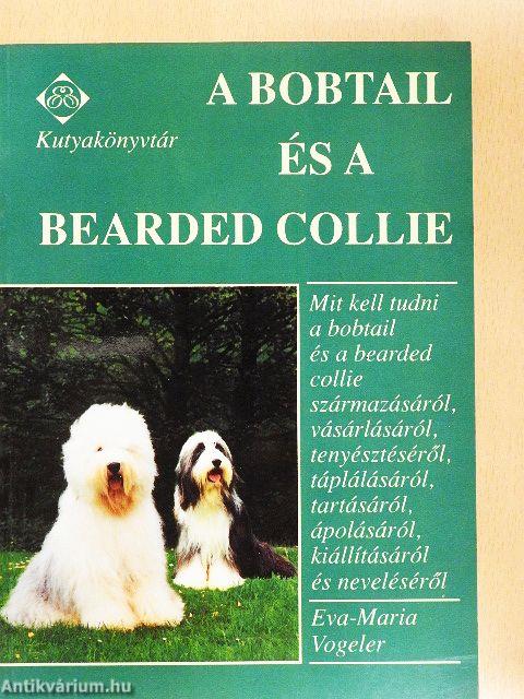 A bobtail és a bearded collie