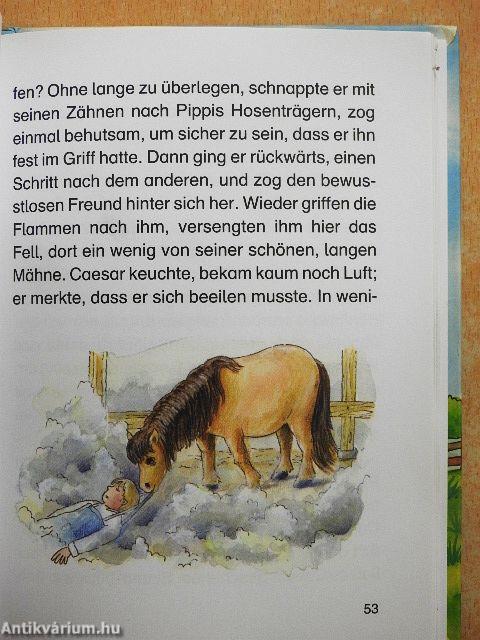 Ponygeschichten