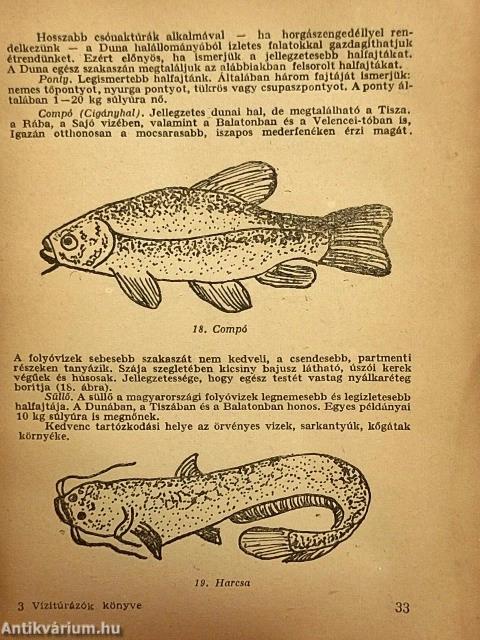 Vízitúrázók könyve