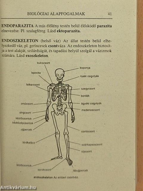 Biológiai alapfogalmak