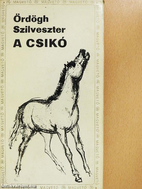 A csikó
