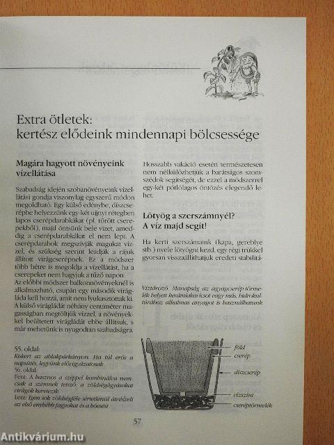 Amit nagyapáink még tudtak