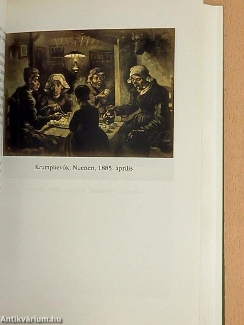 Van Gogh válogatott levelei