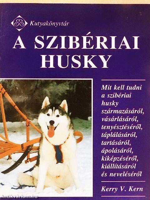 A szibériai Husky