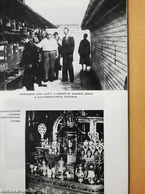 Az Arany-Góbi kősivatagában