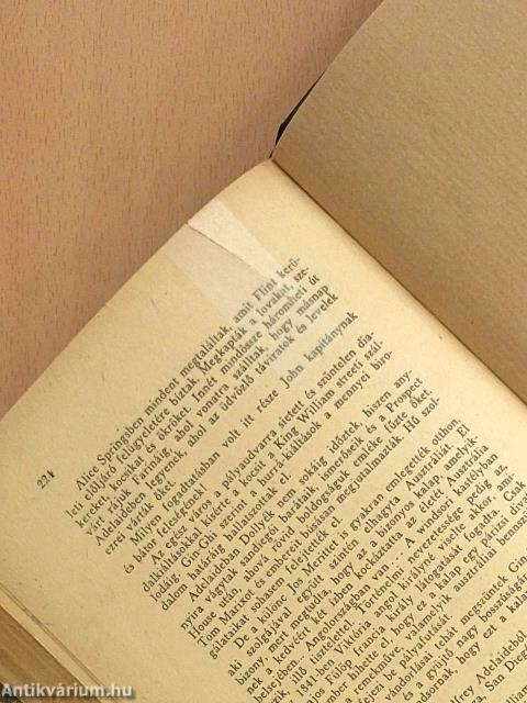 A hőslelkű Branicanné